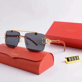 Fashion sunglasses -1553